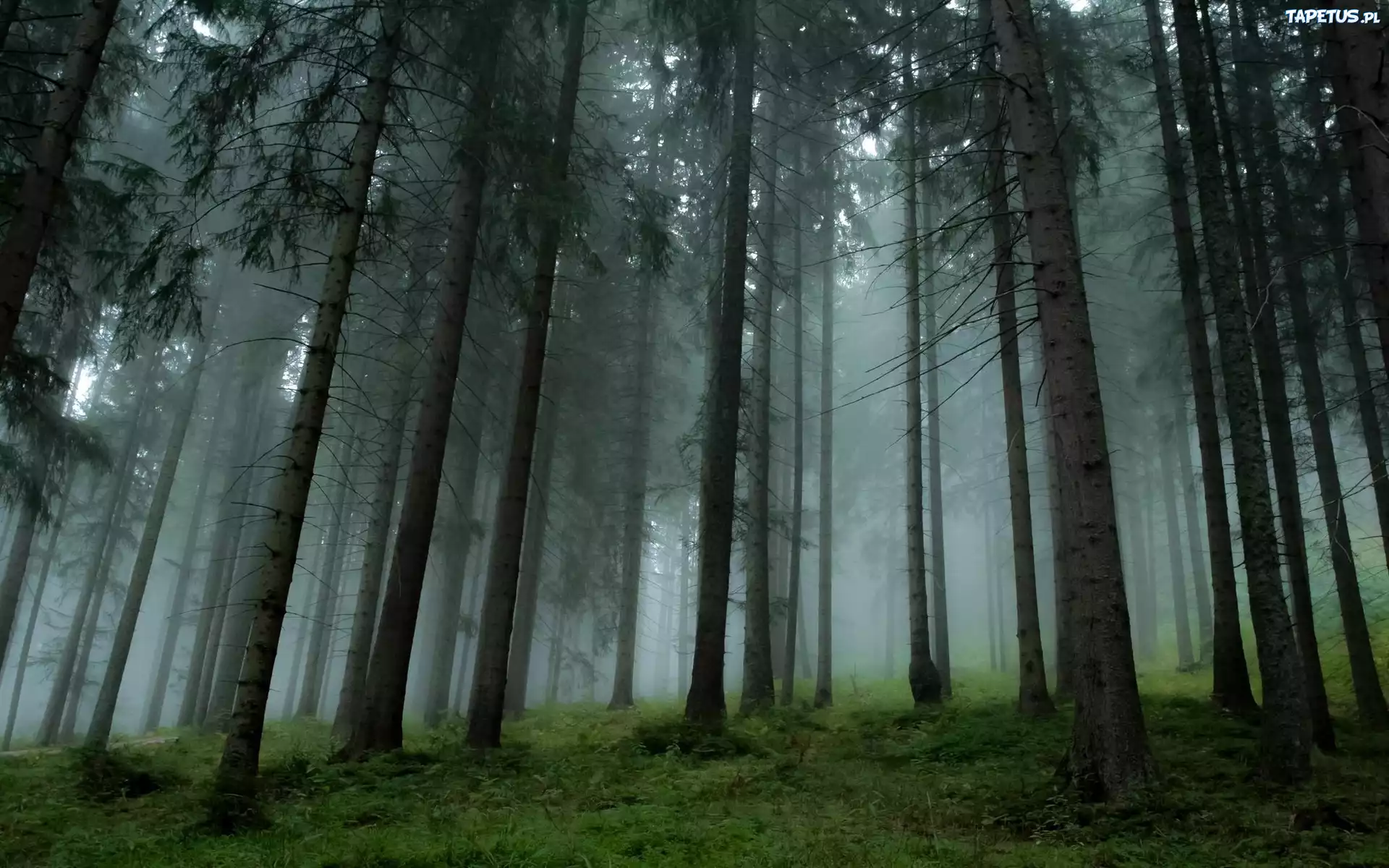 Oyun Arayüzü Tasarımının Önemi ve Trcasino’da Kullanıcı Deneyimi